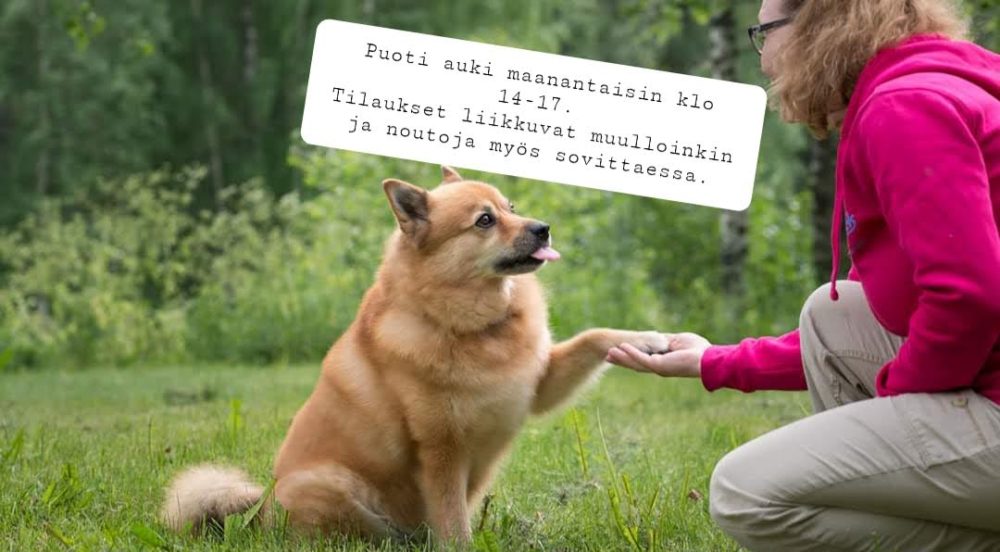Puoti auki kuva