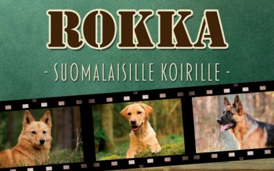 Rokka täysravinto tullut valikoimiin