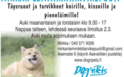 Vuosi 2022 pyörähtänyt käyntiin