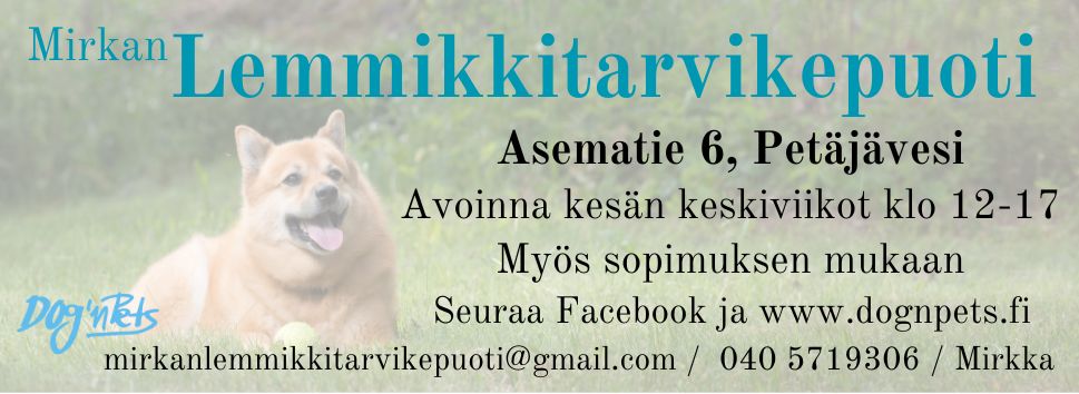 000 KESÄMAINOS 2024 Kesän aukioloaika keskiviikkoisin klo 12-17