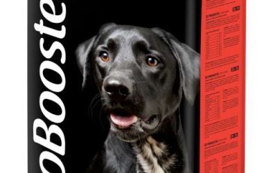 Suosituimmat koirien täysravinnot